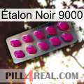 Étalon Noir 9000 09